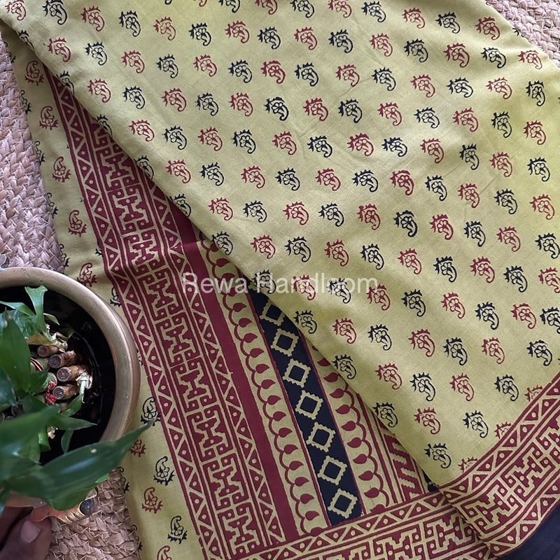  Bagh Print Cotton Saree