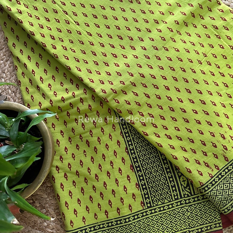  Bagh Print Cotton Saree