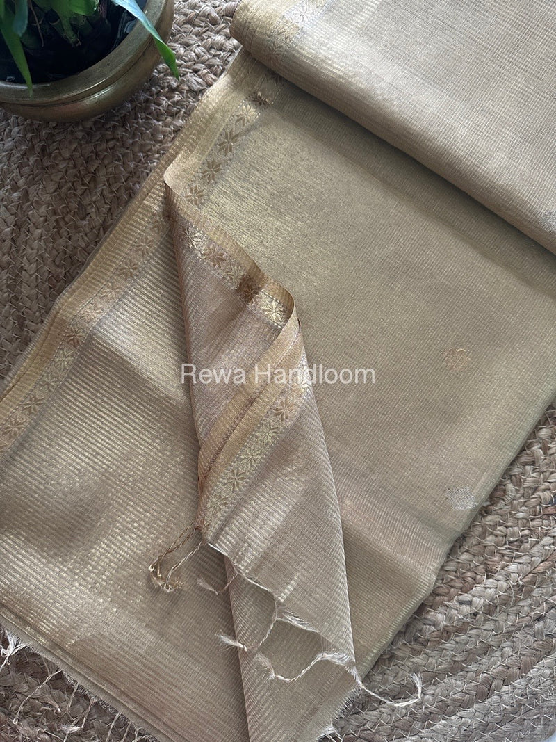 Maheshwari Beige Tissue Silk Saree TSB05