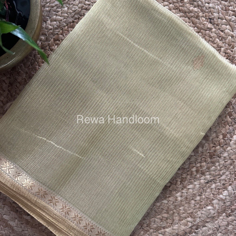 Maheshwari Light Pista Tissue Silk Saree TSB09