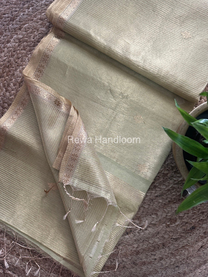 Maheshwari Light Pista Tissue Silk Saree TSB09