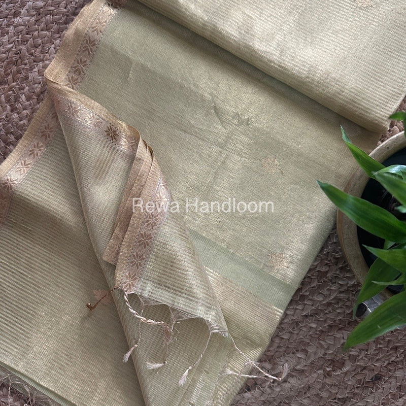 Maheshwari Light Pista Tissue Silk Saree TSB09