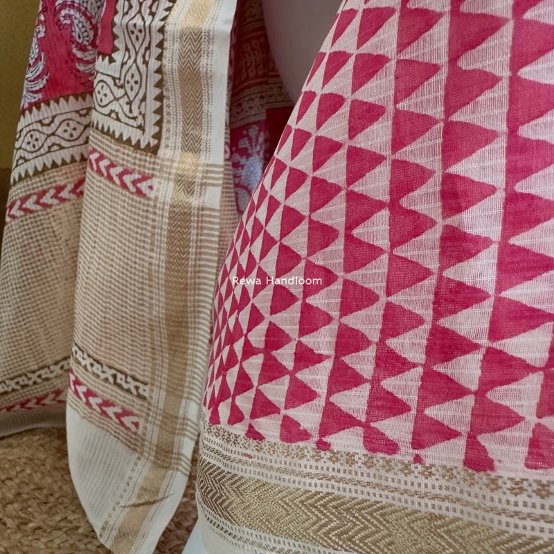 Maheshwari Bagh Indigo Print Suit