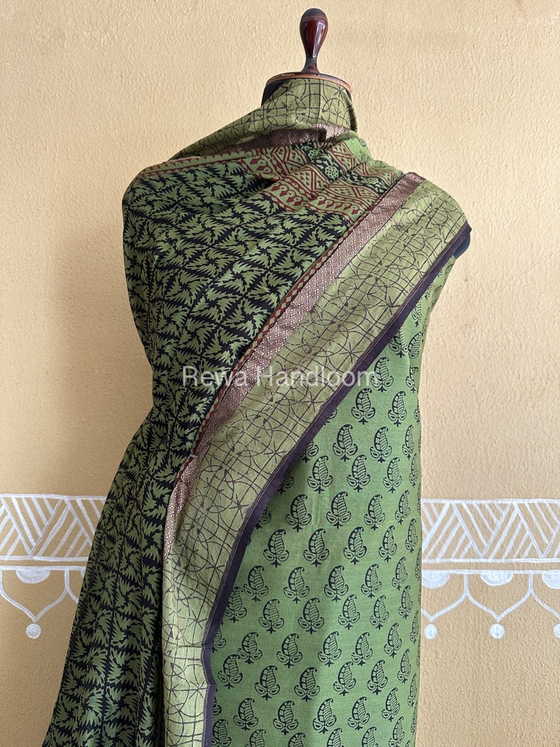 Maheshwari Green Bagh Print Suit BSP0184