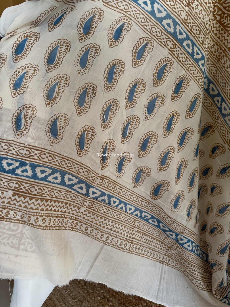Blue-Brown Indigo Bagh Print Suit BCI038