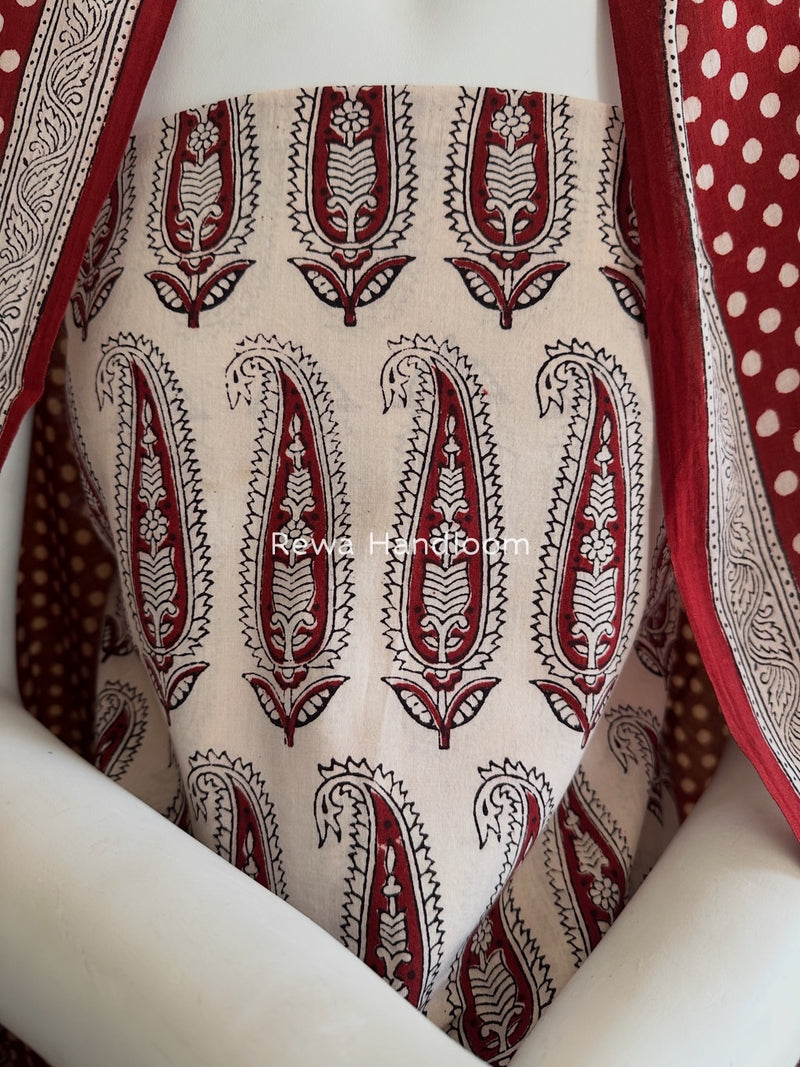 White-Maroon Bagh Print Cotton Suit BGCSJ050