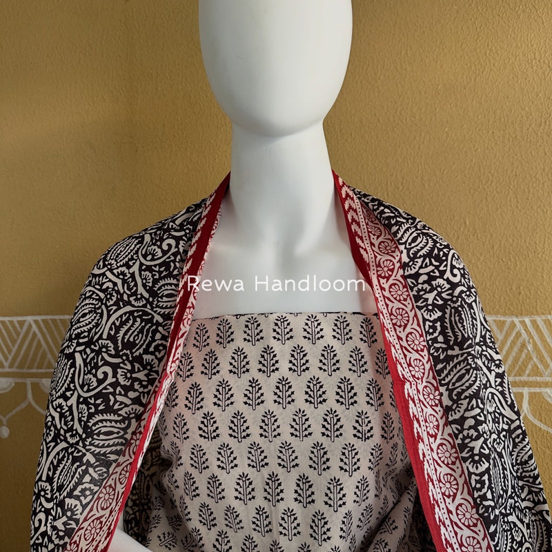 White-Black Bagh Print Cotton Suit BGCSJ054