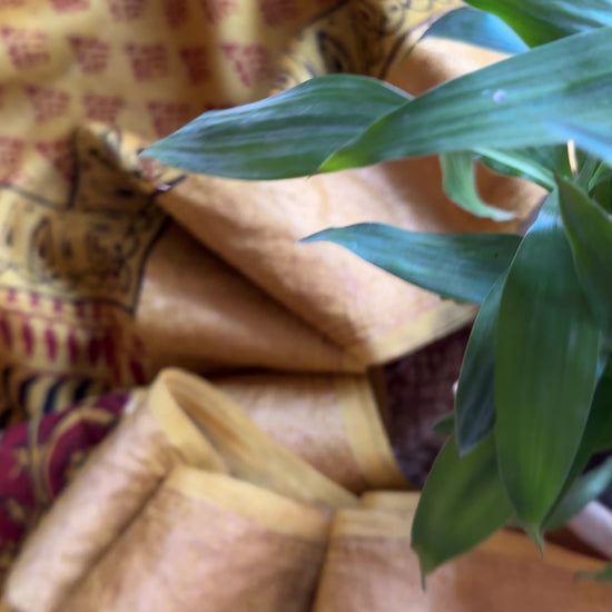 Maheshwari Mustard - Red Bagh Print Saree