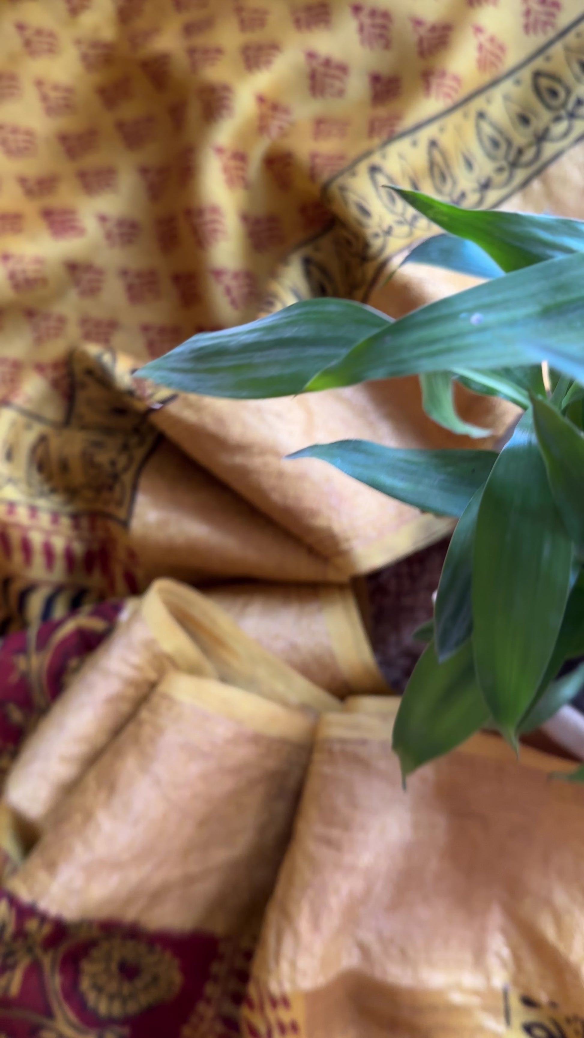 Maheshwari Mustard - Red Bagh Print Saree
