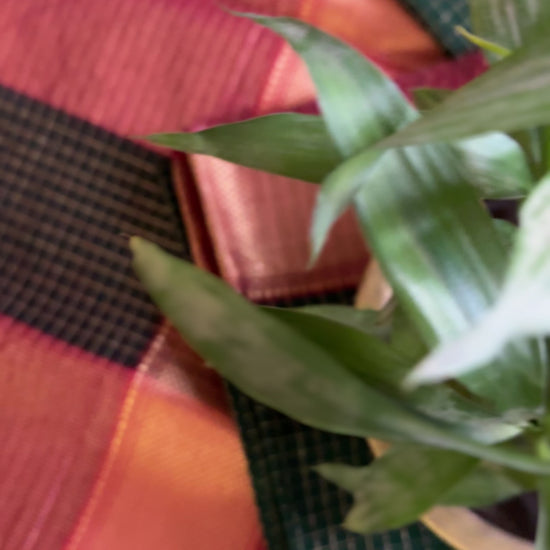 Maheshwari Royal Green Zari Checkered Sarees